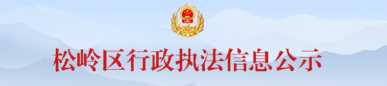 /songling/c100356/202312/270351/images/d9e01a4bf5b94c708fe5fa06f7f97bd5.png
